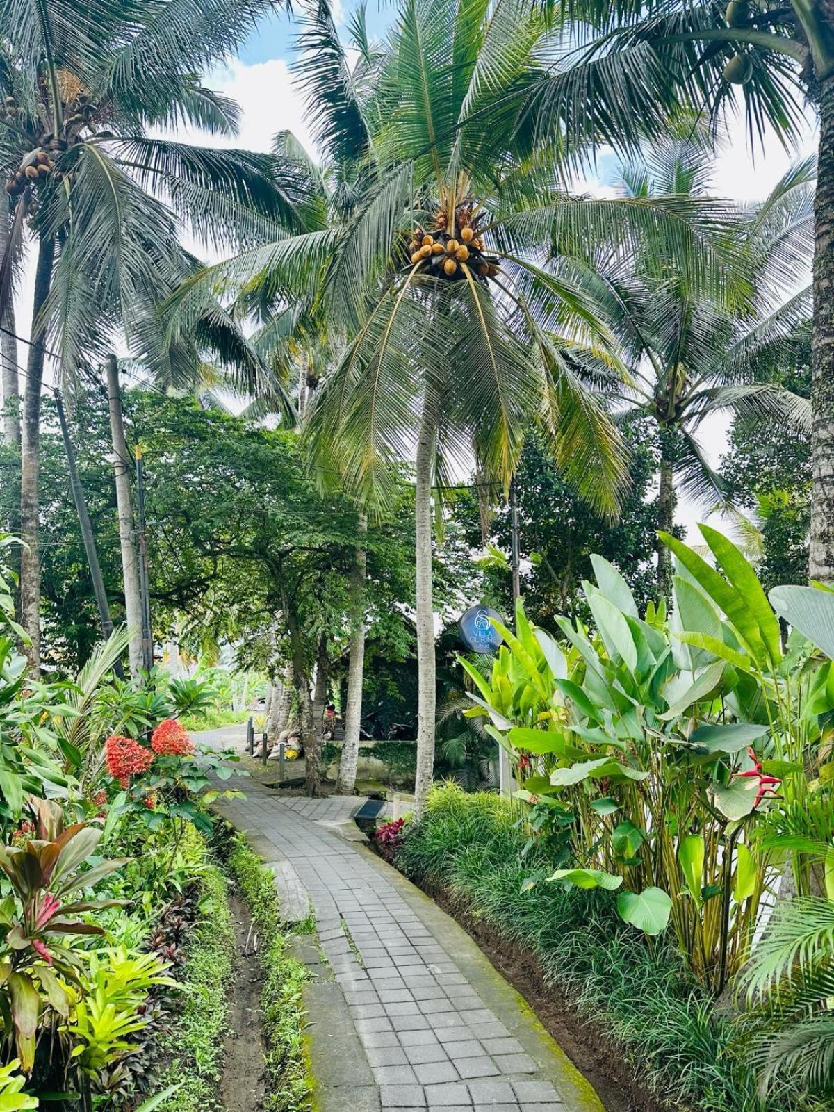 Villa Olirine Ubud Dış mekan fotoğraf